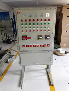 非标防爆控制柜在厨房设备中的定制应用